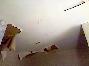 Old ceiling showing peeling paper